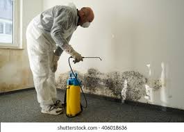 Mold Odor Removal Services in Keller, TX